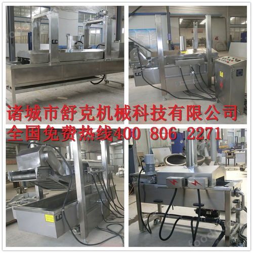 小魚仔油炸機 毛毛魚油炸生產(chǎn)線 海魚油炸機