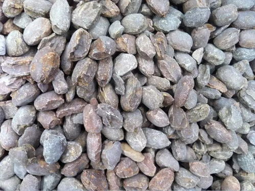 行情 中國鎂砂市場(chǎng)價(jià)格趨穩(wěn),高純鎂砂深受老外青睞